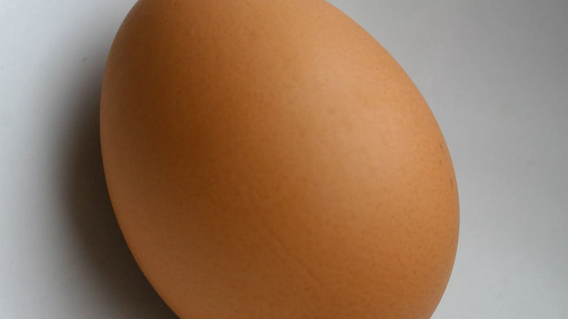 Nguyên nhân nạn buôn lậu trứng gà qua biên giới Mexico tăng vọt 